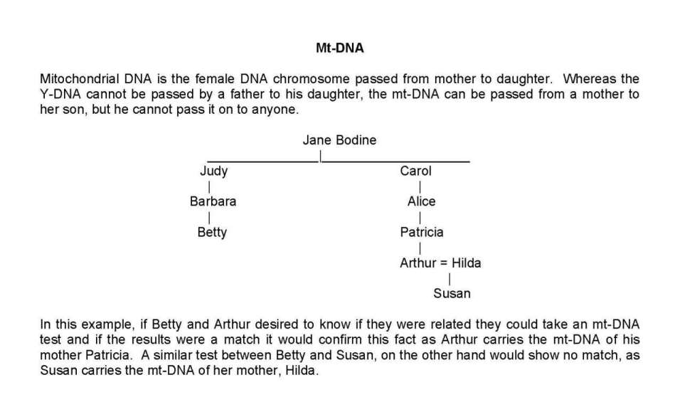 DNA Chart Explanation 2